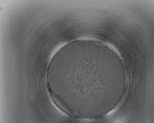 X0000062920855200601202000