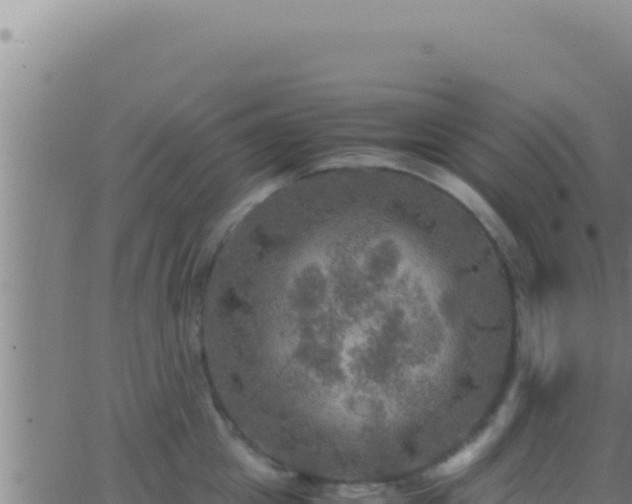 X0000062920857200601202000