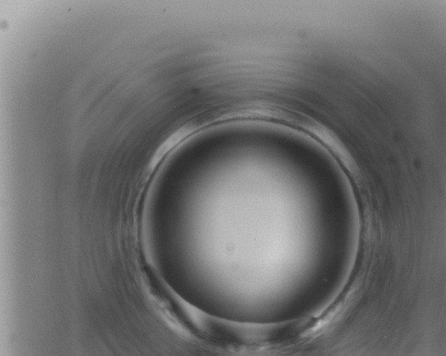 X0000062920858200601202000