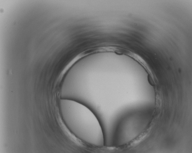 X0000062920859200601202000