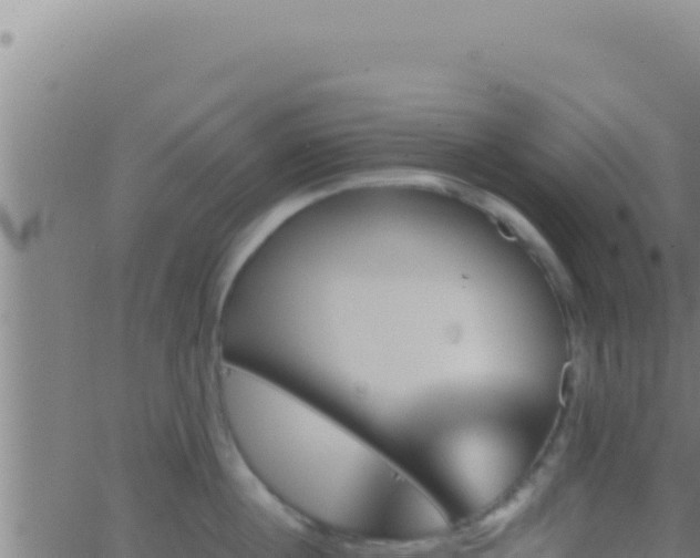 X0000062920860200601202000