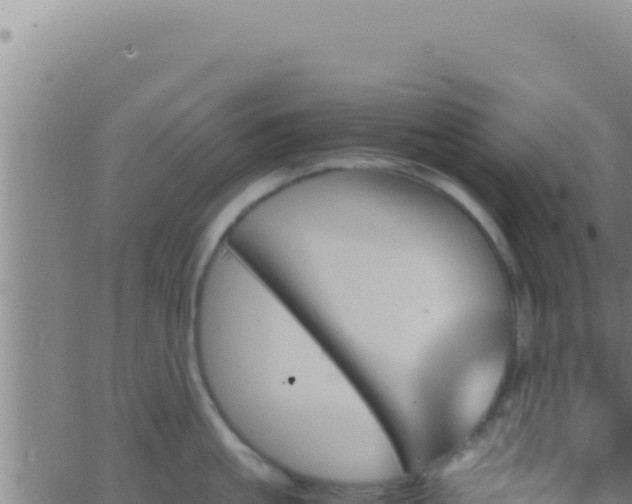 X0000062920861200601202000