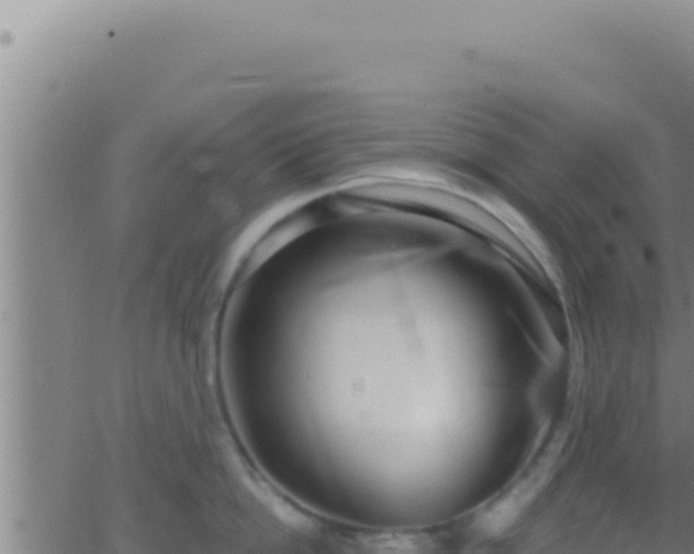 X0000062920862200601202000