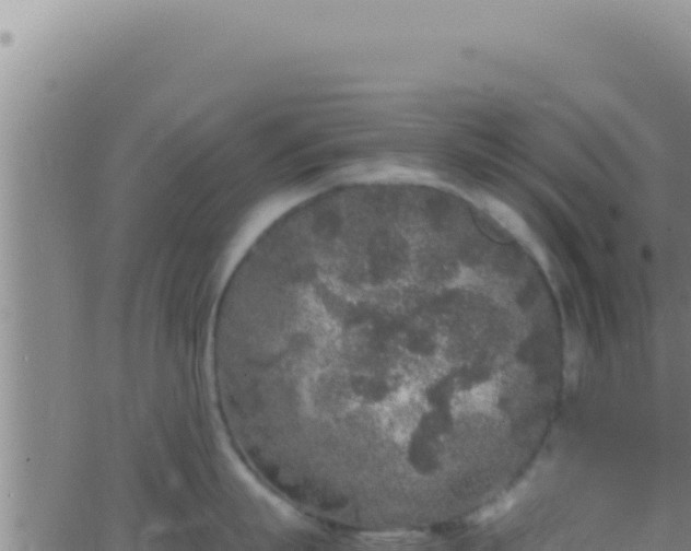 X0000062920863200601202000