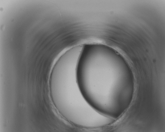 X0000062920864200601202000