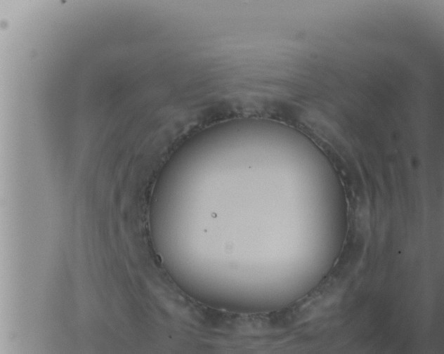 X0000062920865200601201959