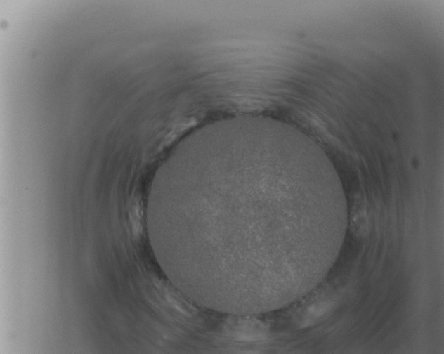 X0000062920866200601201959