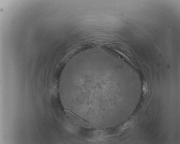 X0000062920867200601201959