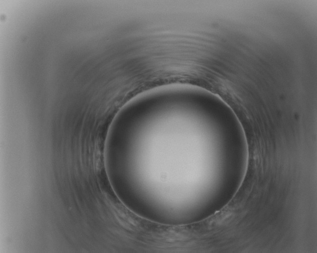 X0000062920868200601201959