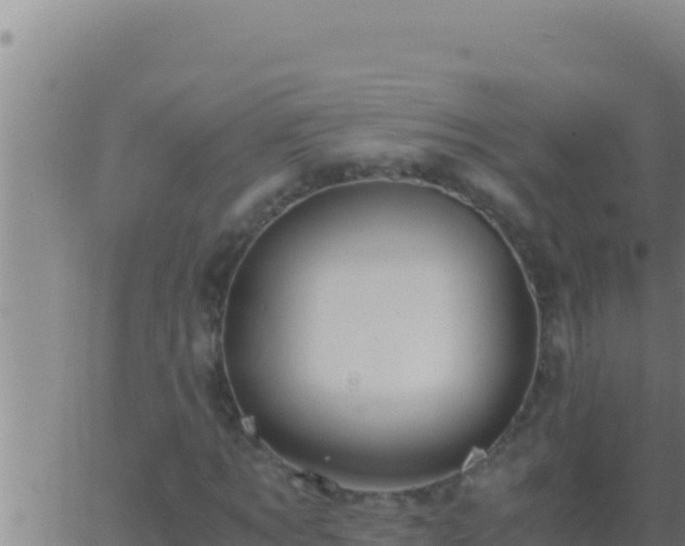 X0000062920869200601201959