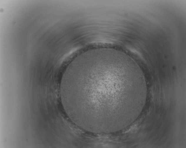 X0000062920870200601201959