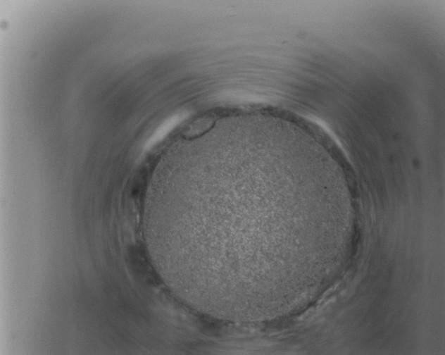 X0000062920871200601201959