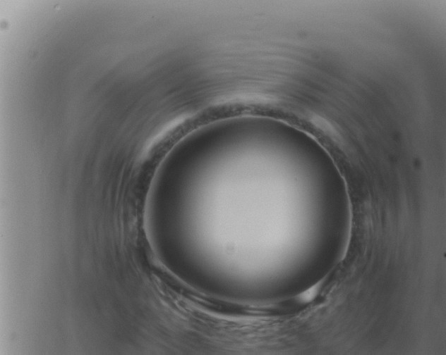 X0000062920872200601201959