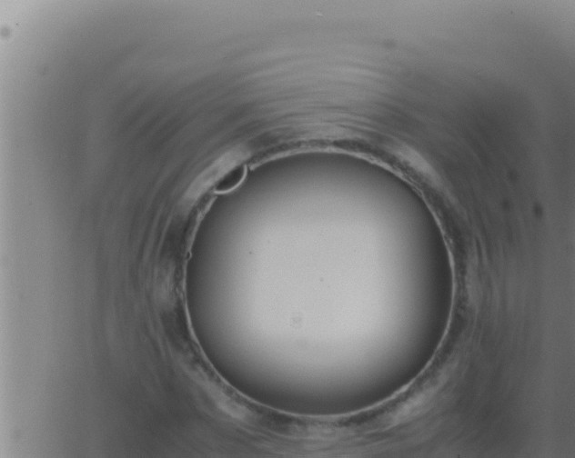 X0000062920873200601201959