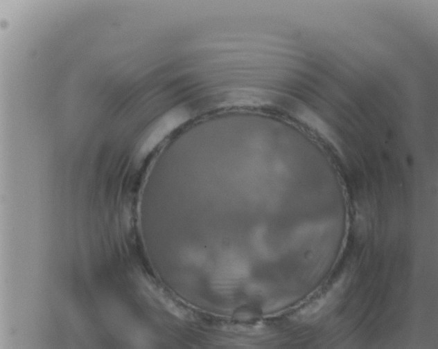 X0000062920874200601201959