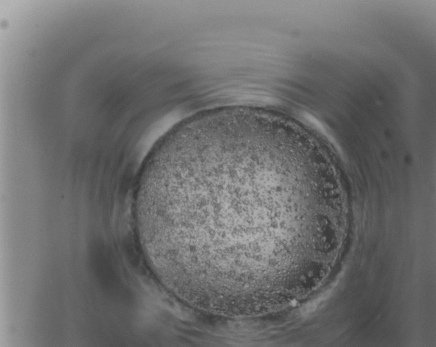 X0000062920875200601201959