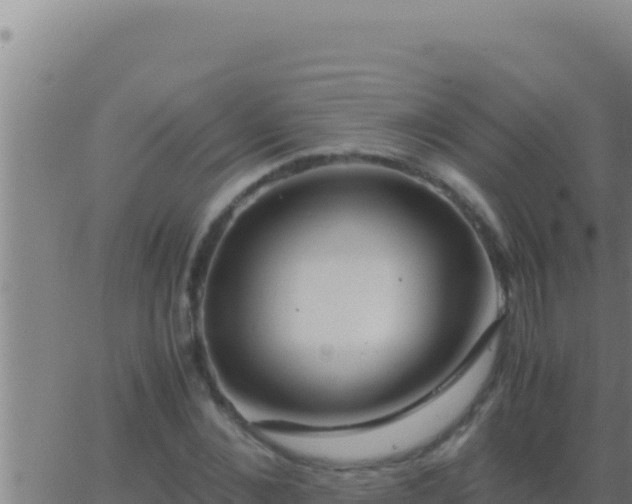 X0000062920876200601201959