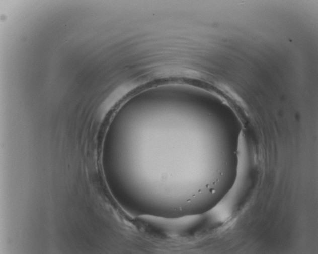 X0000062920877200601201959