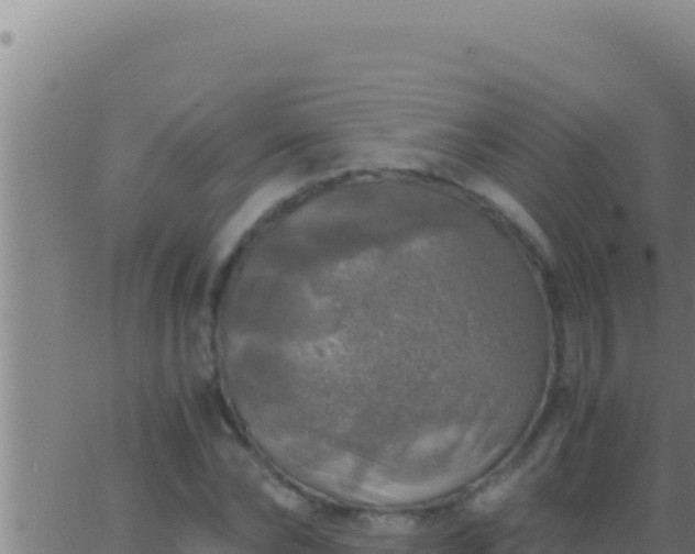 X0000062920878200601201959