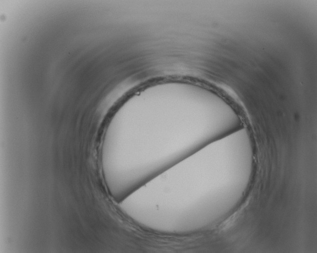 X0000062920879200601201959