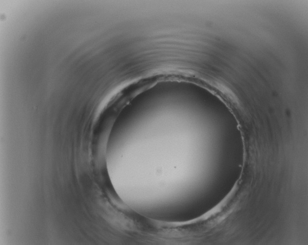 X0000062920880200601201959