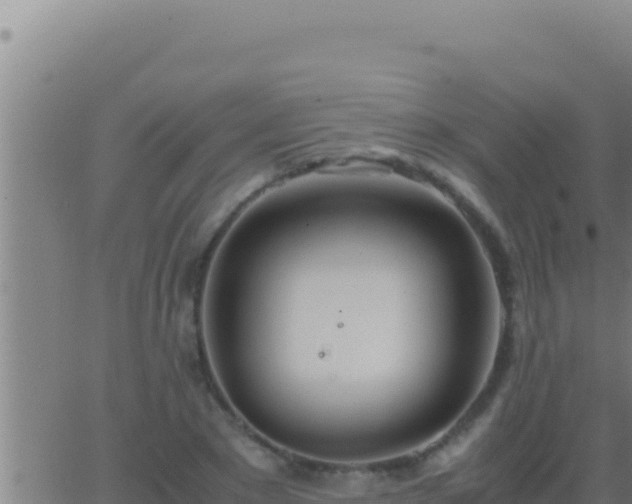 X0000062920881200601201959