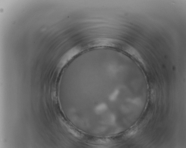 X0000062920882200601201959