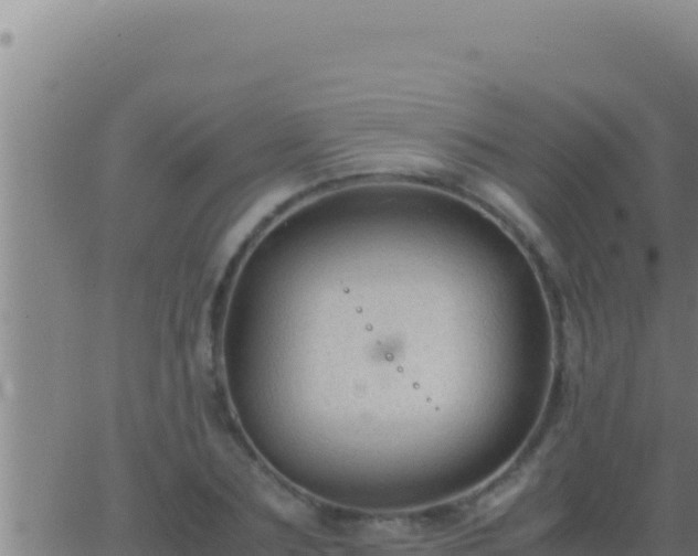 X0000062920883200601201959