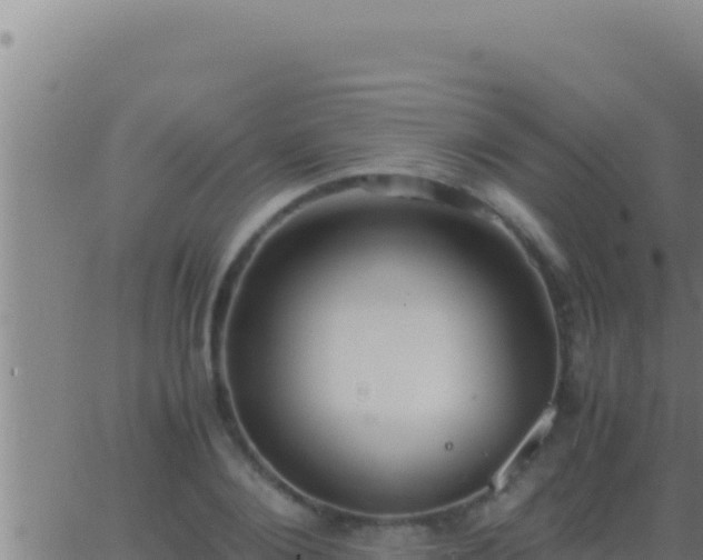 X0000062920884200601201959