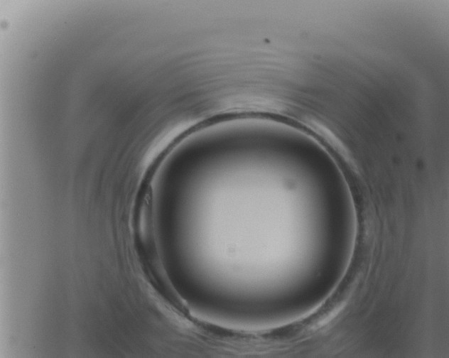 X0000062920885200601201959