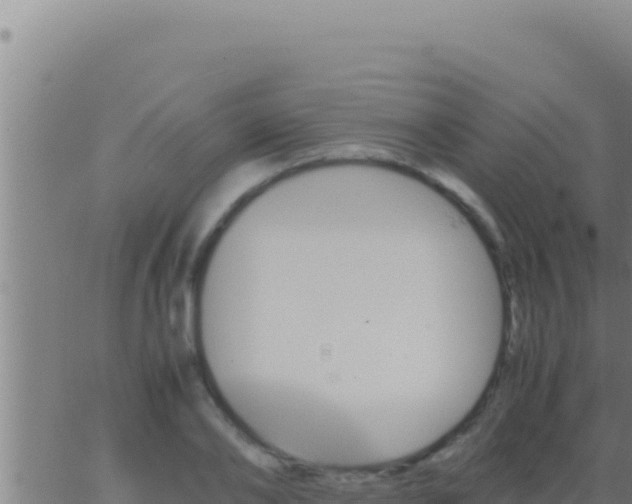 X0000062920886200601201959