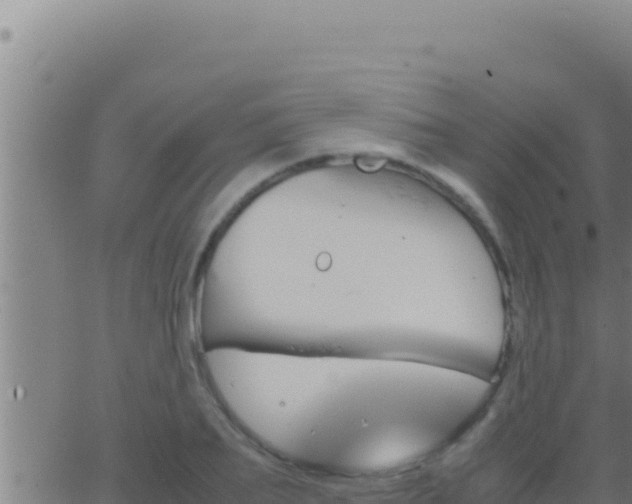 X0000062920887200601201959