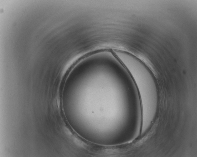 X0000062920888200601201959