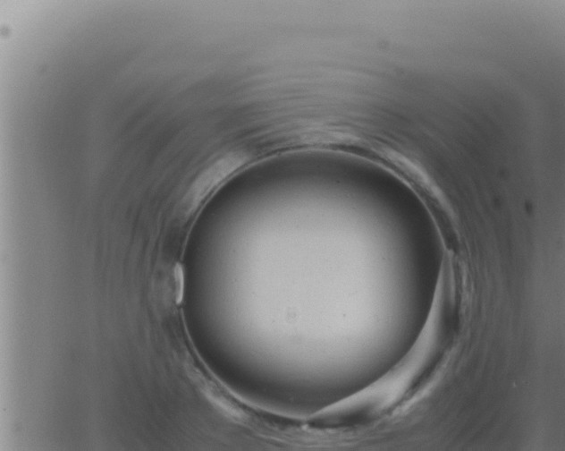 X0000062920889200601201959