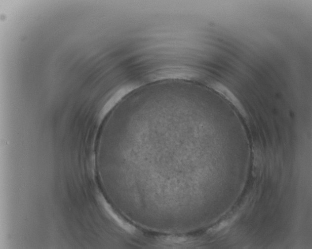 X0000062920890200601201959