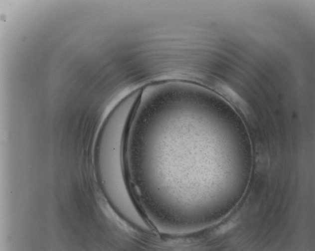 X0000062920892200601201959