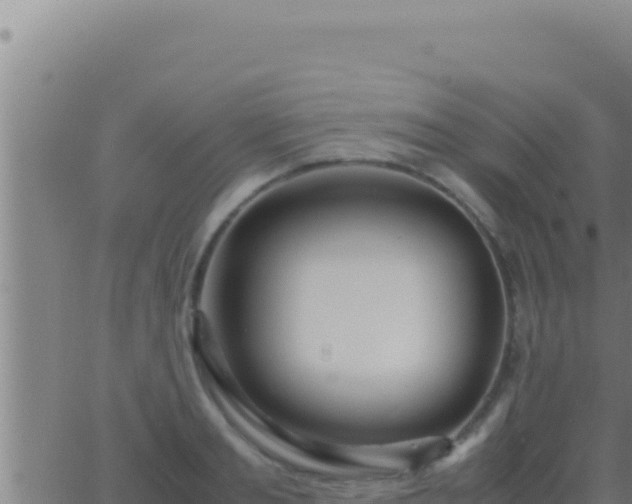 X0000062920893200601201959