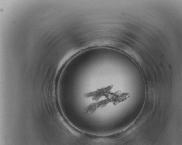 X0000062920894200601201959