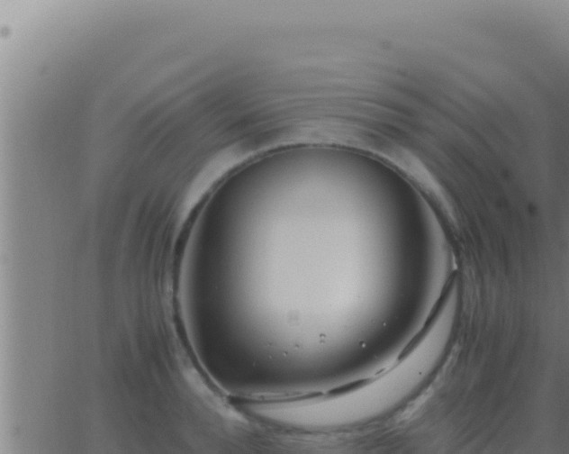 X0000062920896200601201958