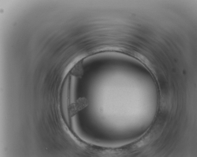 X0000062920898200601201958