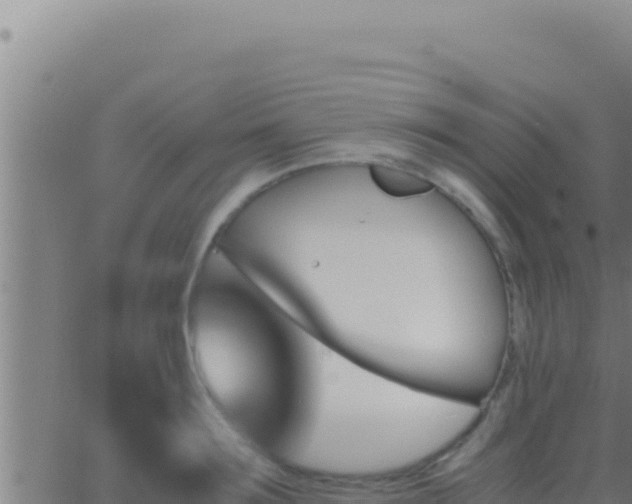 X0000062920899200601201958