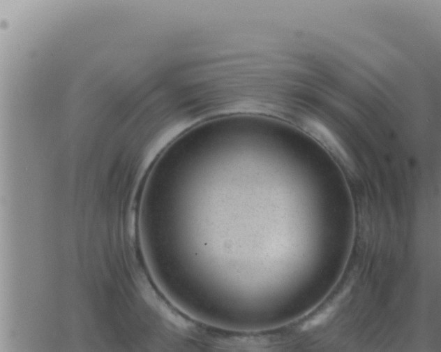 X0000062920900200601201958