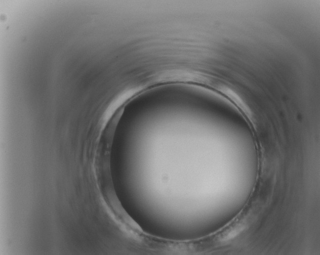 X0000062920901200601201958