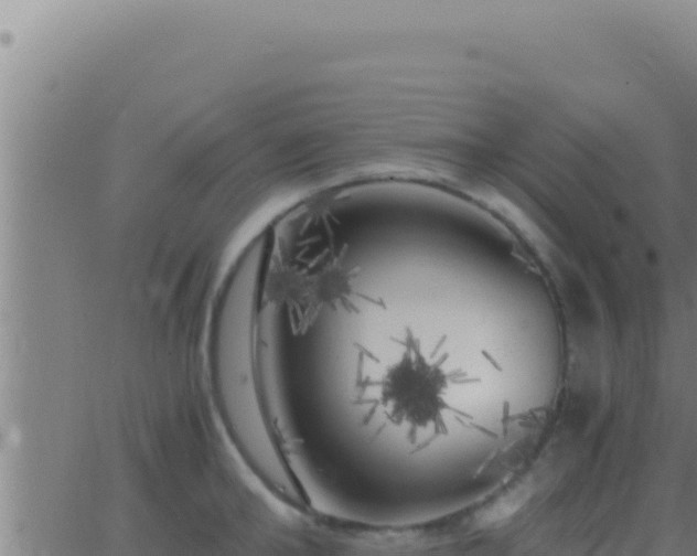 X0000062920902200601201958