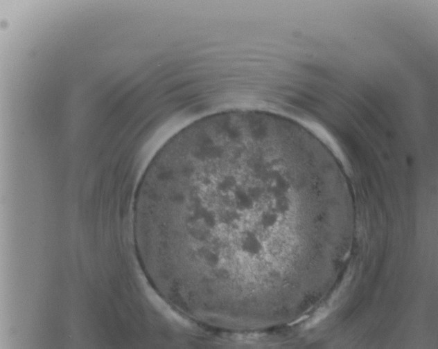 X0000062920903200601201958