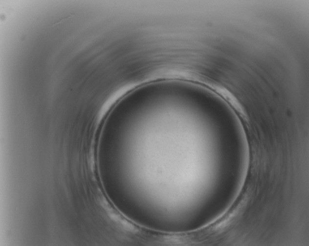 X0000062920904200601201958