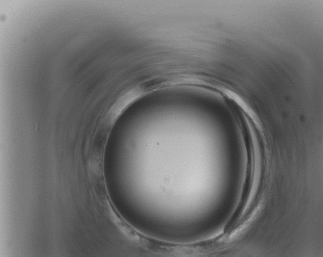 X0000062920905200601201958