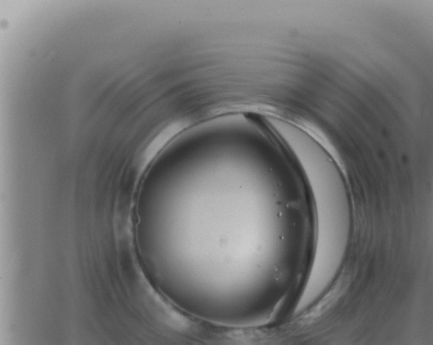 X0000062920906200601201958