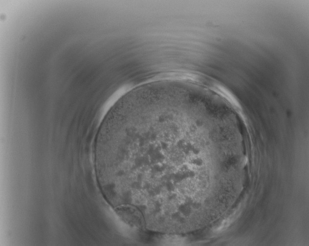 X0000062920907200601201958