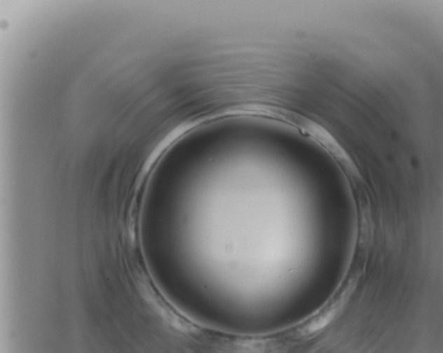 X0000062920908200601201958